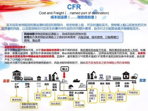 一眼展示 关于外贸海关的俗语-WE B2C跨境工作室