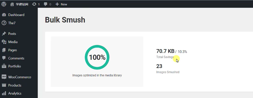 WordPress独立站图片批量压缩插件WP Smush Pro
