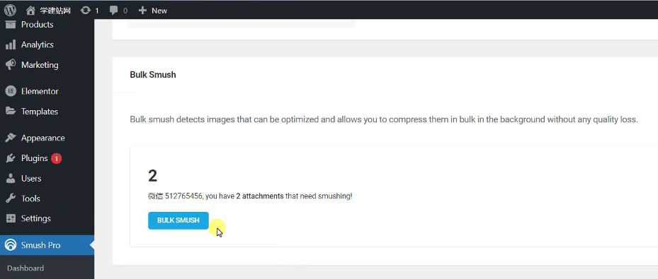 WordPress独立站图片批量压缩插件WP Smush Pro